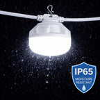8 Globe LED Light String